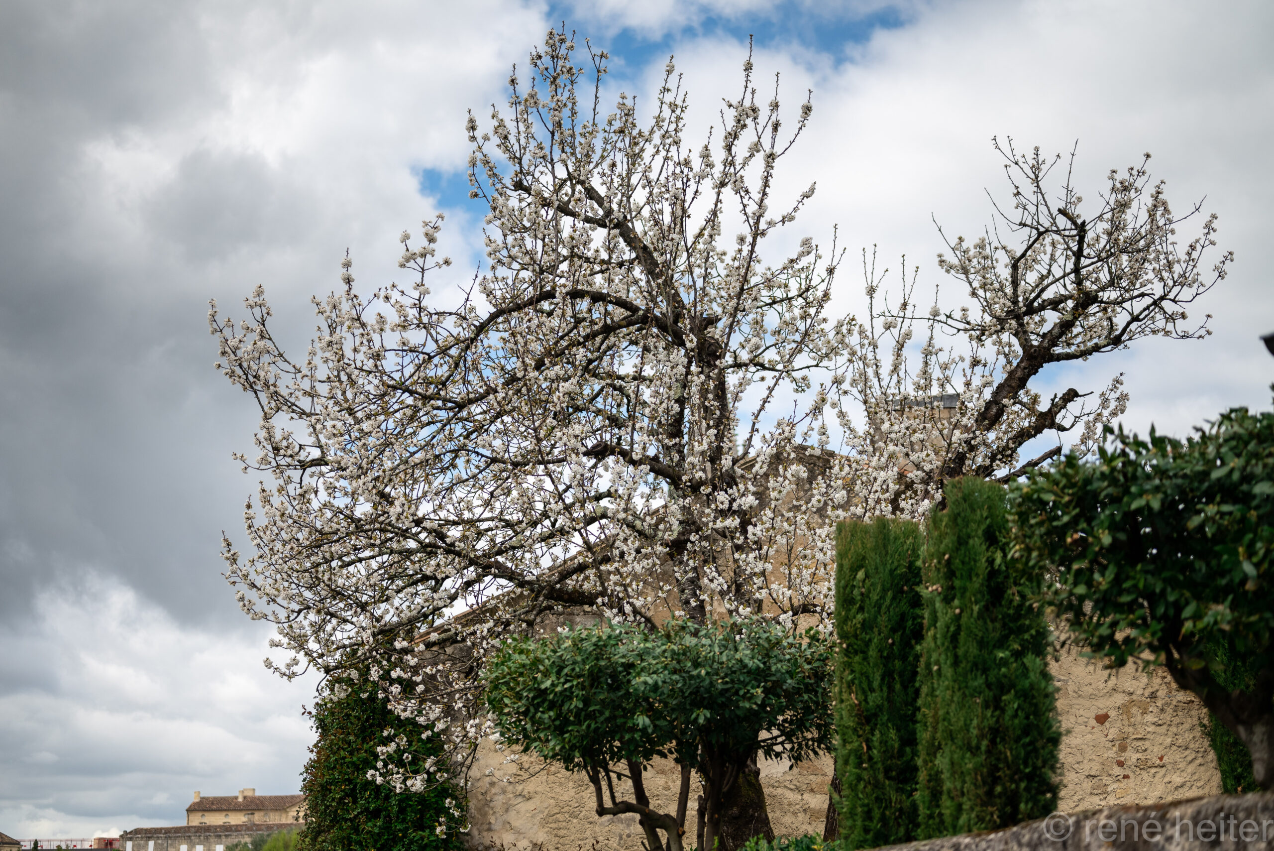 Saint Emilion